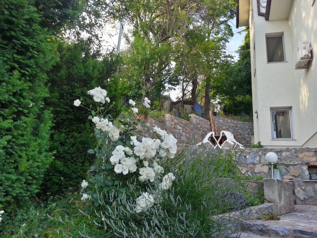 Maslov Apartments Ohrid Extérieur photo